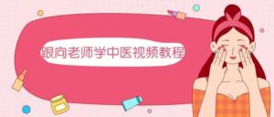 跟向老师学中医视频教程_拾壹资源网