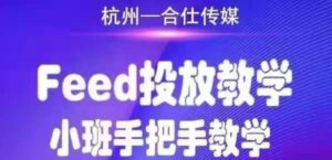合仕传媒FEED投放教学,手把手教学,开车烧钱必须自己会_拾壹资源网