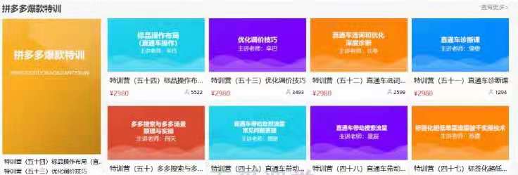 图片[1]_多多大师VIP拼多多运营培训课程