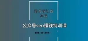 倪叶明《公众号seo赚钱特训课》_拾壹资源网