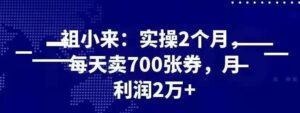 祖小来实操 2 个月，每天卖 700 张券，月利润 2 万+_拾壹资源网