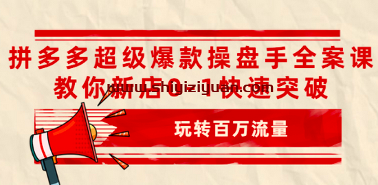 拼多多超级爆款操盘手全案课,教你新店0-1快速突破_拾壹资源网