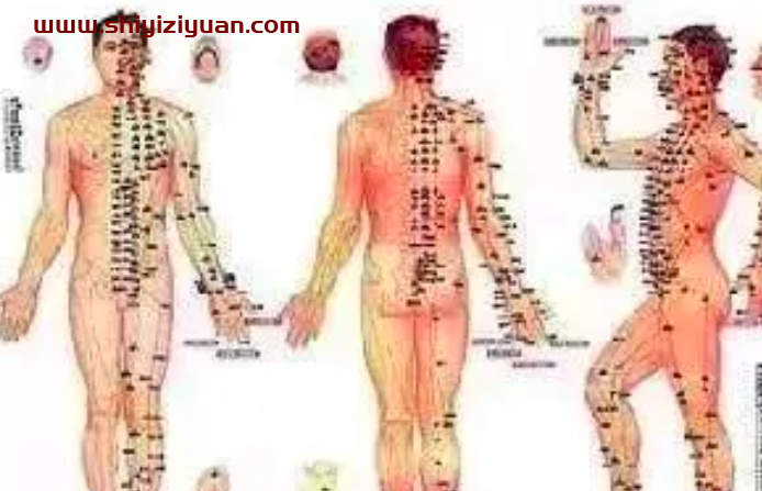 医承有道学堂 中医人必学的经络课 记住经络，找准穴位_拾壹资源网