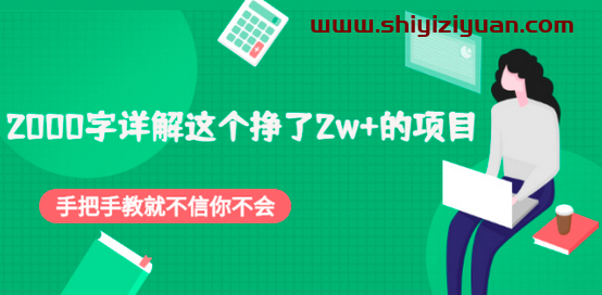 2000字详解这个挣了2w+的项目,手把手教就不信你不会【付费文章】_拾壹资源网