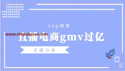 Top卖家(直播电商年gmv过亿)实操分享_拾壹资源网