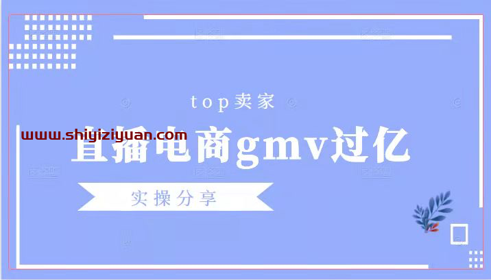 图片[1]_Top卖家(直播电商年gmv过亿)实操分享