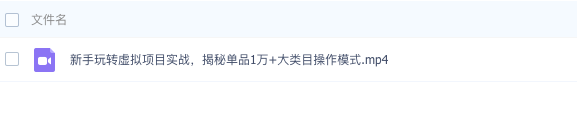 图片[2]_新手玩转虚拟项目实战，揭秘单品1万+大类目操作模式【视频课程】