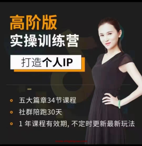 透透糖·高版阶个人企品业牌IP打训造练营_拾壹资源网