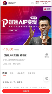 波波来了-《创始人IP变现》精华版_拾壹资源网