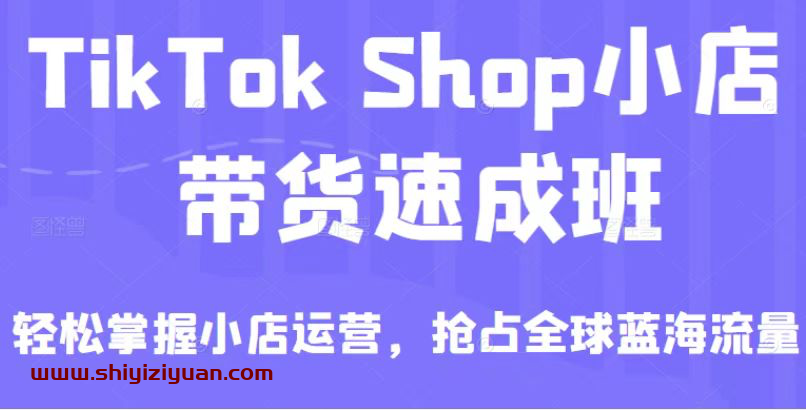 带货速成班(备战全球流量)_拾壹资源网