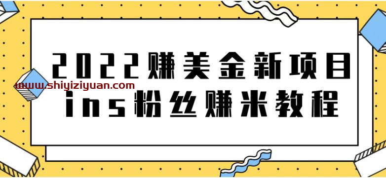 2022赚美金新项目，ins粉丝赚米教程_拾壹资源网