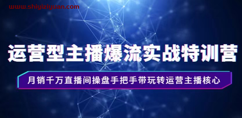 慧慧：运营型主播爆流实战特训营，月销千万直播间操盘手把手带玩转运营主播核心_拾壹资源网