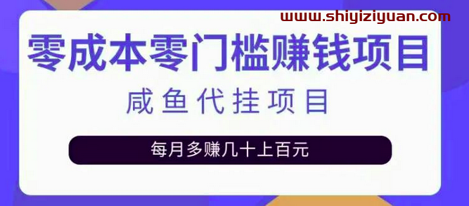 揭秘：零成本零门槛日赚500+，人人可做的咸鱼代挂项目_拾壹资源网