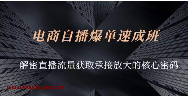 网川教育-兴趣电商团队自播成长营_拾壹资源网