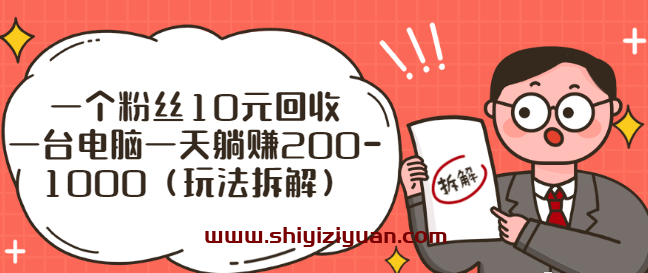 一个粉丝10元回收，一台电脑一天躺赚200-1000（玩法拆解）_拾壹资源网