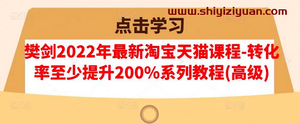 樊剑2022年最新淘宝天猫课程-转化率至少提升200%系列教程(高级)_拾壹资源网