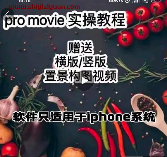 漆十二美食摄影,25节promovie实操高手课_拾壹资源网