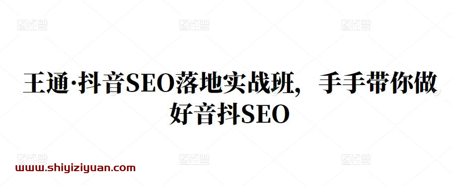 王通·抖音SEO落地实战班,手把手带你做好抖音SEO_拾壹资源网
