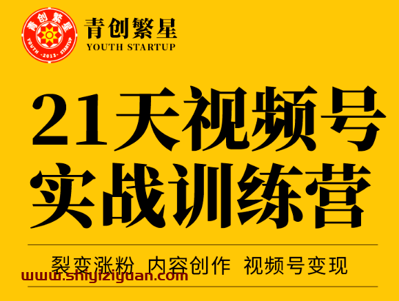 张萌21天视频号实战训练营,裂变涨粉、内容创作、视频号变现 价值298元_拾壹资源网