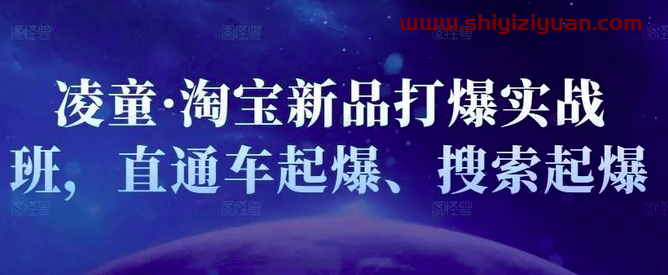 凌童·淘宝新品打爆实战班,直通车起爆、搜索起爆_拾壹资源网