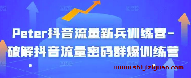 Peter抖音流量新兵训练营-破解抖音流量密码群爆训练营_拾壹资源网