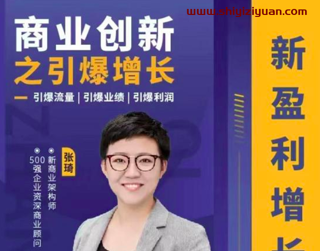 张琦盈利增长17堂必修课，企业裂变增长的经营智慧_拾壹资源网