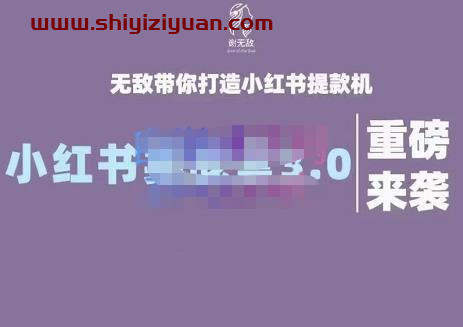 谢无敌·小红书实战营3.0,无敌带你打造小红书提款机 价值7999元_拾壹资源网