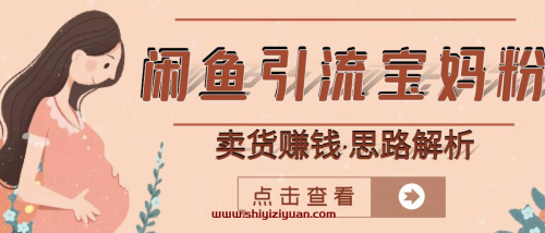 闲鱼引流宝妈粉+卖货赚钱一个月收益30000+(实操视频教程)_拾壹资源网
