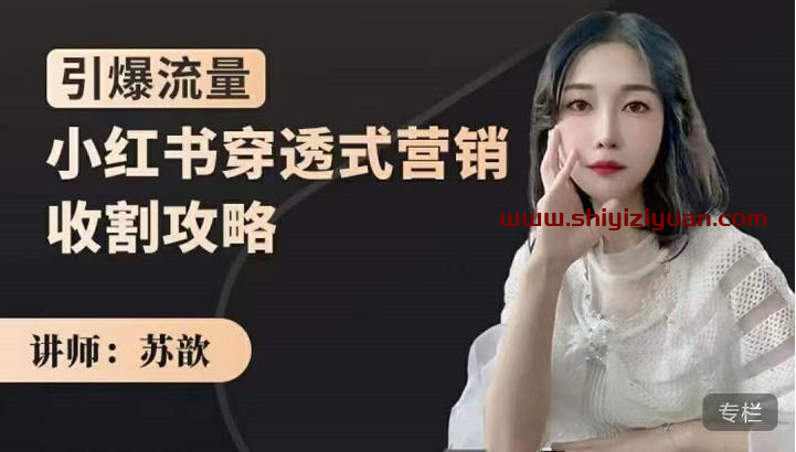 苏歆：小红书穿透式营销收割攻略，引爆流量，助你玩转小红书_拾壹资源网