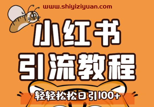 小红书运营引流全系列课程，每天引流100精准粉_拾壹资源网