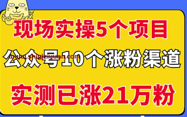 现场实操5个公众号项目,10个涨粉渠道,实测已涨21万粉_拾壹资源网