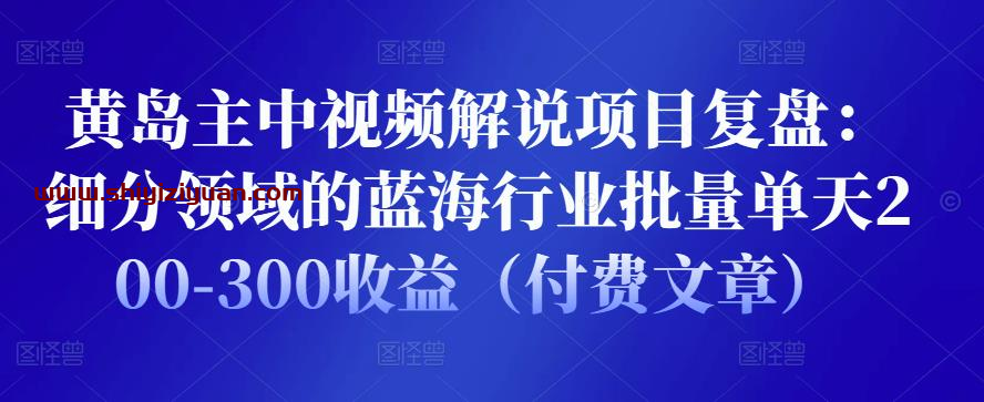 黄岛主中视频解说项目复盘：细分领域的蓝海行业批量单天200-300收益（付费文章）_拾壹资源网