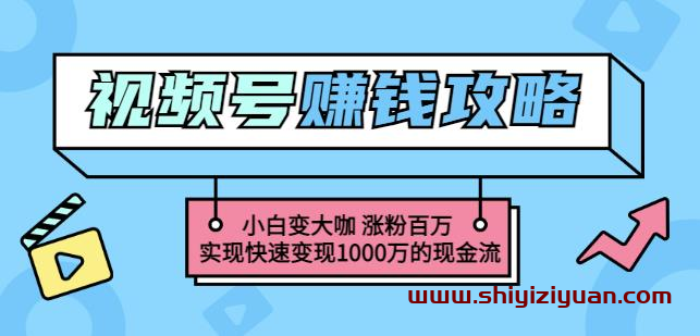 玩转微信视频号赚钱:小白变大咖涨粉百万实现快速变现1000万的现金流_拾壹资源网