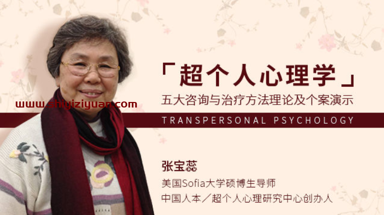 张宝蕊 超个人心理学 五大咨询与治疗方法理论及个案演示课程视频_拾壹资源网