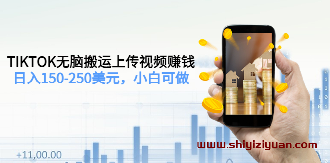 TIKTOK无脑搬运上传视频赚钱,日入150-250美元,小白可做(2节视频课)_拾壹资源网