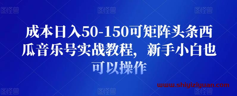 成本日入50-150可矩阵头条西瓜音乐号实战教程,新手小白也可以操作_拾壹资源网