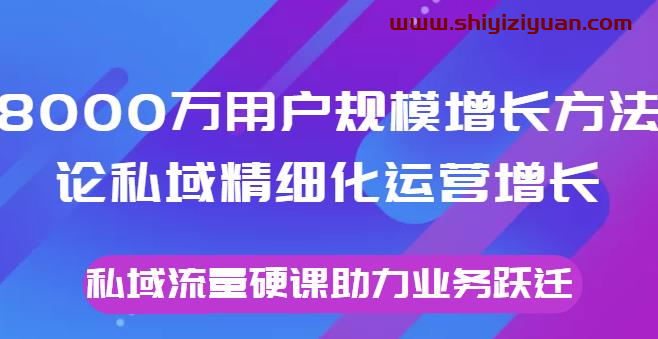 8000万用户规模增长方法论私域精细化运营增长，私域流量硬课助力业务跃迁_拾壹资源网