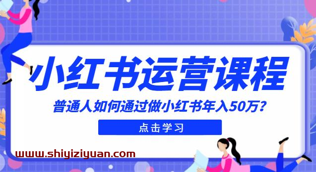 最适合普通人的小红书入门课程：普通人如何通过做小红书年入50万_拾壹资源网
