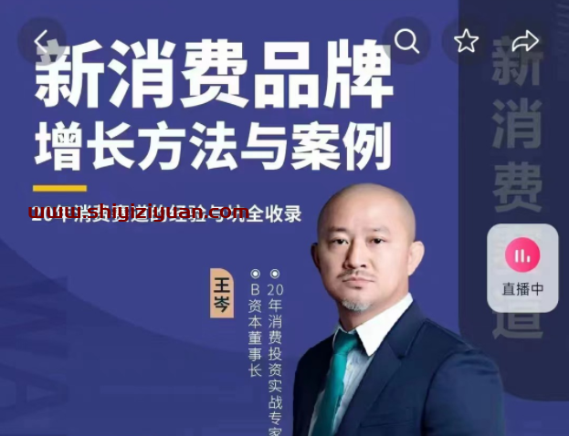 王岑：新消费品牌增长方法与案例（爆款视频课）_王岑3.0_拾壹资源网