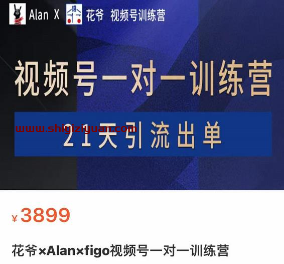 花爷×Alan×figo视频号一对一训练营,21天引流出单3899_拾壹资源网