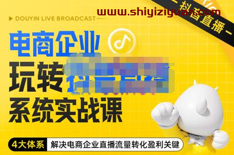 青青老师·电商企业玩转抖音直播电商系统实战课,4大体系解决电商企业直播流量转化盈利关键_拾壹资源网