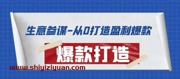 生意参谋-从0打造盈利爆款：手把手教您打造爆款多种玩法_拾壹资源网