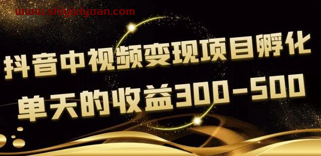 黄岛主《抖音中视频变现项目孵化》单天的收益300-500操作简单粗暴_拾壹资源网