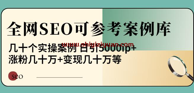 白杨全网SEO可参考案例库，几十个实操案例日引5000ip+涨粉百W+变现几十W等_拾壹资源网