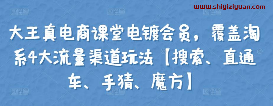 大王真电商课堂电镀会员,覆盖淘系4大流量渠道玩法【搜索、直通车、手猜、魔方】_拾壹资源网