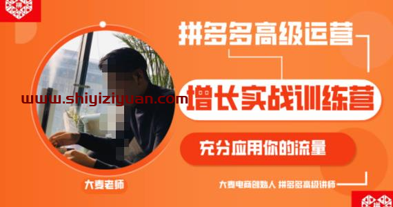 拼多多高级运营增长实战训练营,充分应用你的流量(拼多多2980元付费课程)_拾壹资源网