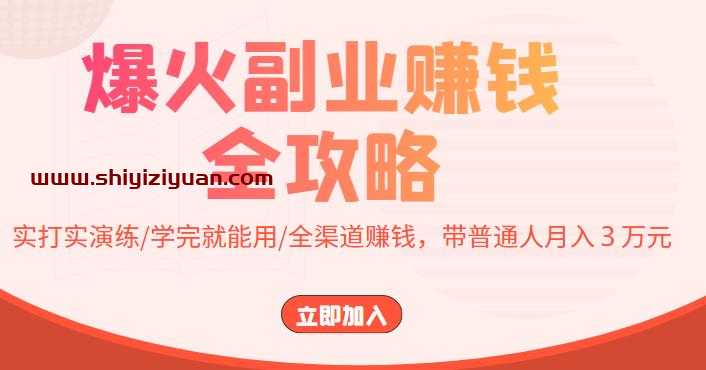 爆火副业赚钱全攻略:实打实演练/学完就能用/全渠道赚钱,带普通人月入3万元!_拾壹资源网