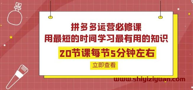 拼多多运营必修课:20节课每节5分钟左右,用最短的时间学习最有用的知识_拾壹资源网