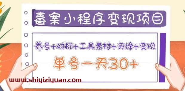 森罗万项毒案小程序变现项目：养号+对标+工具素材+实操+变现，单号一天30+_拾壹资源网