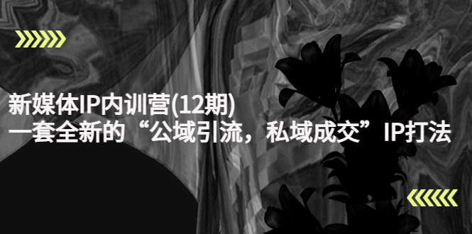 新媒体IP内训营(12期)_拾壹资源网